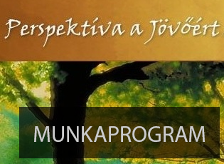 2017. évi munkaprogram