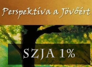 Köszönet az 1%-os adó alapítványi célokra történő adományozásáért!